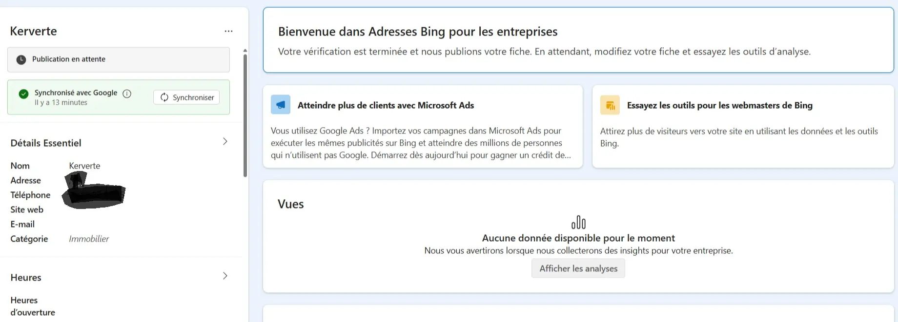 fiche google ou fiche bing. Exemple de la fiche bing